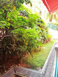 Casa Rosa (D19), Condominium #535933961